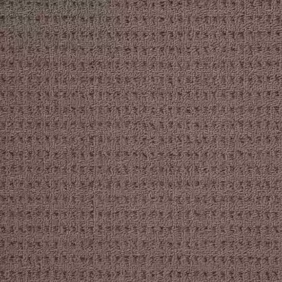 Beaulieu Nevada Sands Solution Dyed Polypropylene Carpet